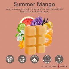 SUMMER MANGO FRAGRANCE: Juicy mango ripened in the summer sun, paired with bergamot and lemon zest. TOP NOTES: Bergamot, Grapefruit, Lemon Zest, Mandarin Orange MID NOTES: Lavender, Apple Blossom BASE NOTES: Vanilla, Musk