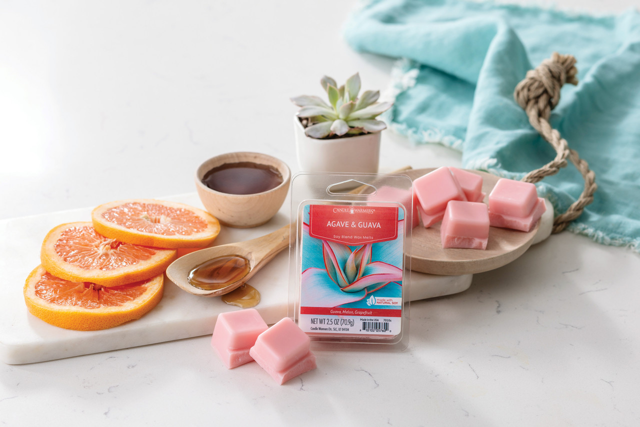 Agave & Guava Classic Wax Melts