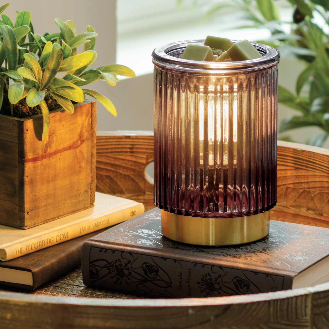 Black Fluted Glass Illumination Fragrance Warmer