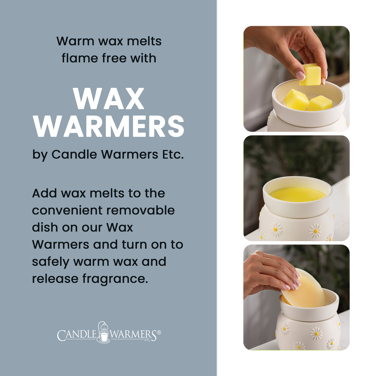 Daisy Wax Warmer