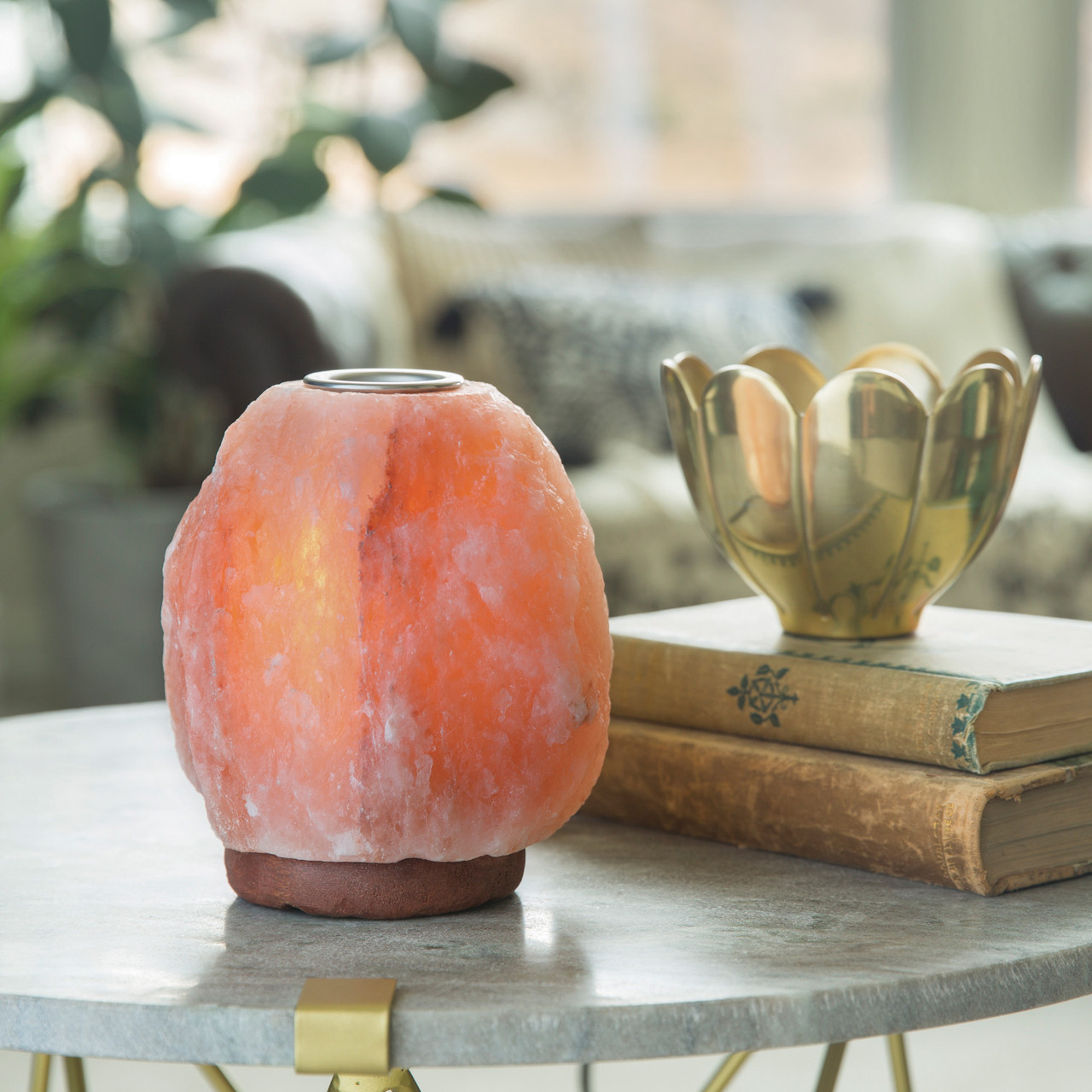 Himalayan Salt Warmer