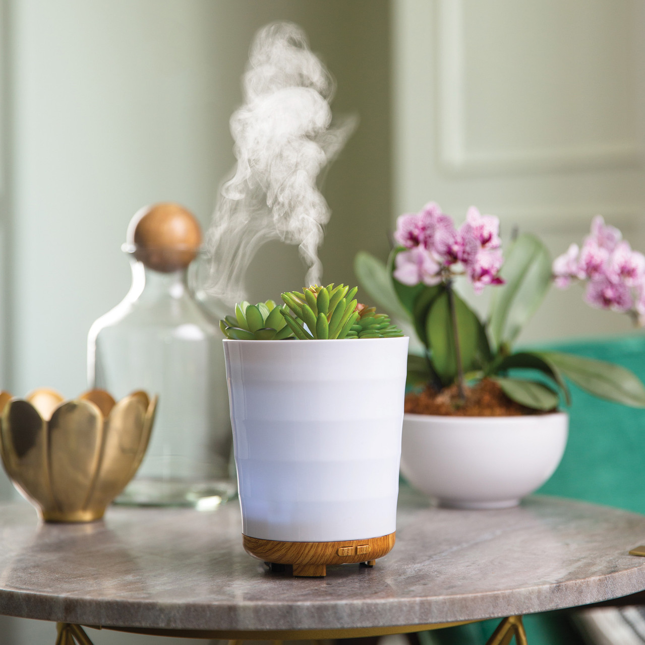 Potted Succulent Medium Ultra Sonic Diffuser